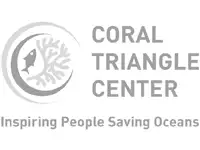 logo coral triangle