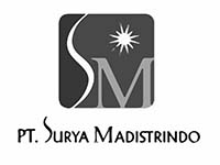 Training Excel Data Analysis PT Surya Madistrindo